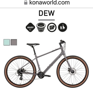 2021 Kona Dew Silver, gray or bare metal
