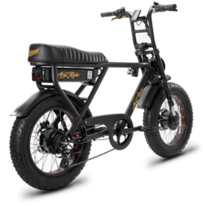2021 Ariel Rider D-Class Black