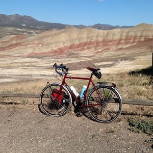 2015 Surly Disc Trucker Red