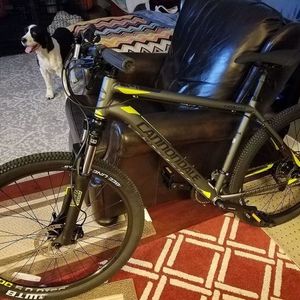 2017 Cannondale Catalyst I (gray bike with green grap... Silver, gray or bare metal