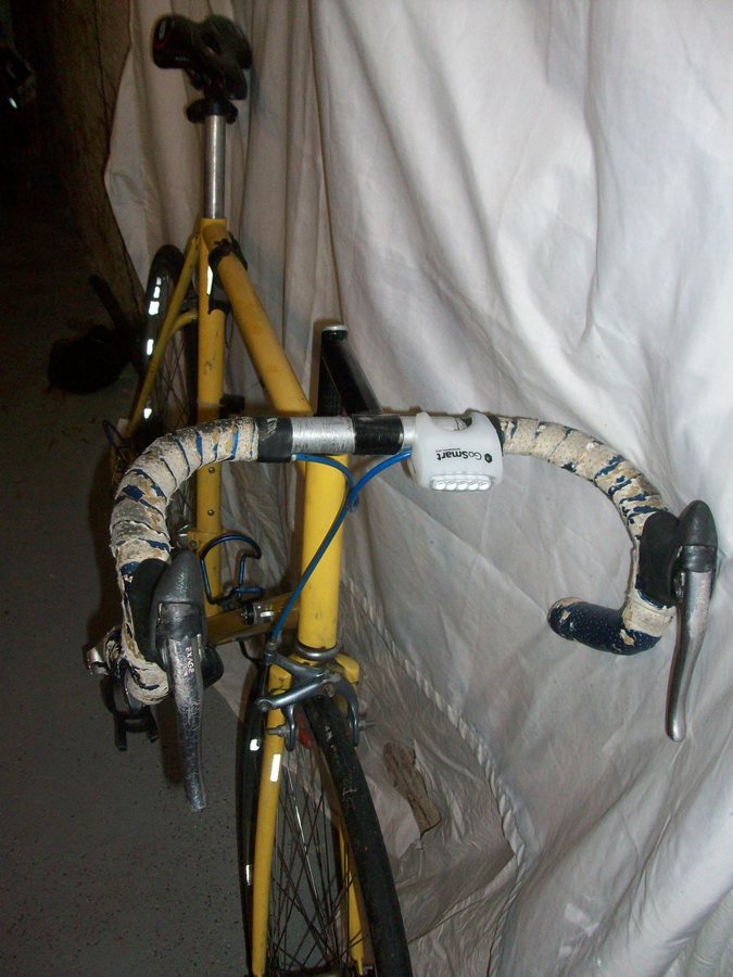 trek 1100 blue book