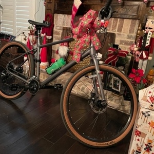 2021 Kona Dew Silver, gray or bare metal