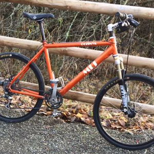 2003 MIJ Gozinya Orange