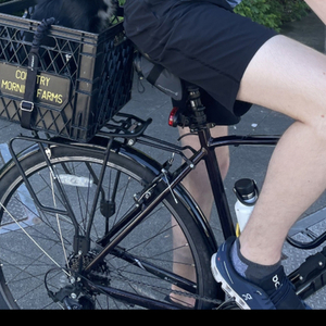 2021 Giant Escape Purple