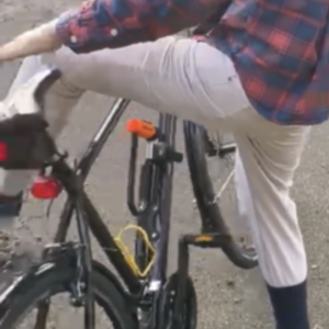 2021 Giant Escape Purple