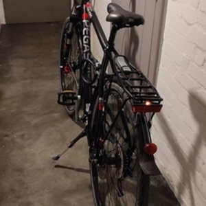 Pegasus Solero Black and Red