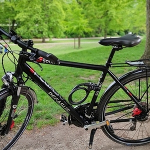 Pegasus Solero Black and Red