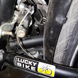 Pegasus Solero Black and Red