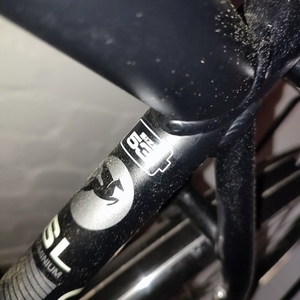 Pegasus Solero Black and Red