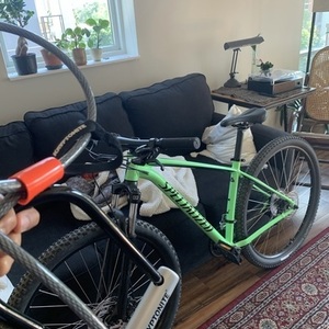 2019 Specialized Rockhopper Base 29 Green
