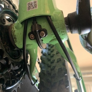 2019 Specialized Rockhopper Base 29 Green