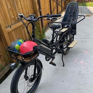 2022 Rad Power Bikes Radwagon Black