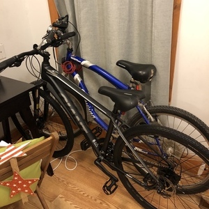 2019 Giant Black