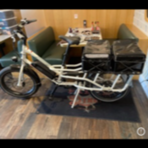 2020 Rad Power Bikes Rad Wagon Cargo Bike version 4-white White