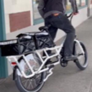 2020 Rad Power Bikes Rad Wagon Cargo Bike version 4-white White