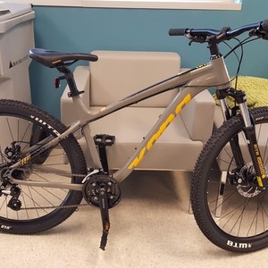 2019 Kona Lanai Silver, gray or bare metal