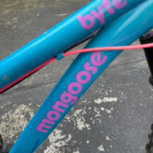 Mongoose Pacific Cycle BYTE Blue and Pink