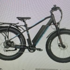 2021 M2S Bikes R750 HT Base Model with 16ap battery Black and Blue