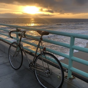 1983 Nishiki Yellow or Gold