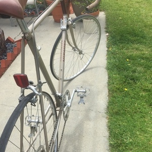 1983 Nishiki Yellow or Gold