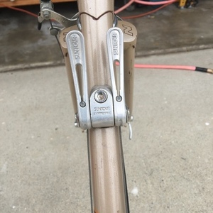 1983 Nishiki Yellow or Gold