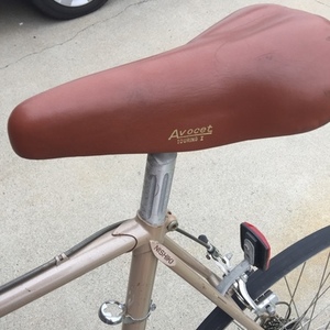 1983 Nishiki Yellow or Gold