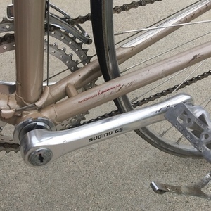 1983 Nishiki Yellow or Gold