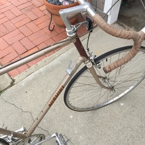 1983 Nishiki Yellow or Gold