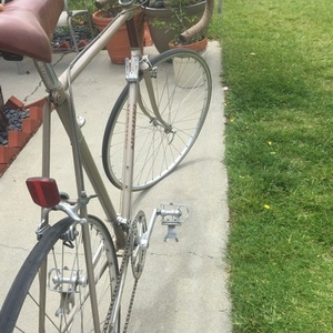 1983 Nishiki Yellow or Gold