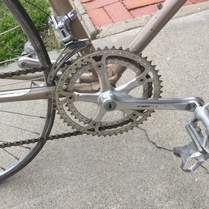 1983 Nishiki Yellow or Gold