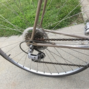 1983 Nishiki Yellow or Gold