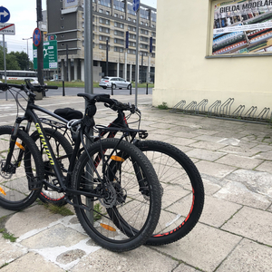 2018 Specialized Black and Green