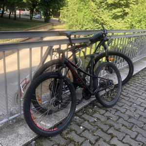 2018 Specialized Black and Red