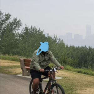 2018 GT Bicycles GT Aggressor Comp 27.5" Silver, gray or bare metal, Black, and Orange