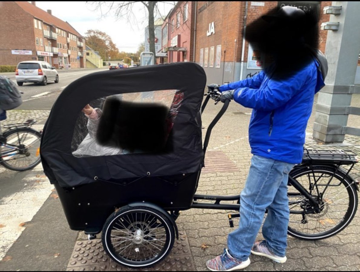 Cargo Tricycle photo