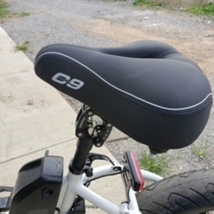 2019 Rad Power Bikes Mini Step-Thru White