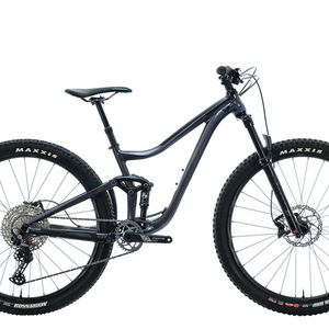 2021 Giant Trance Silver, gray or bare metal