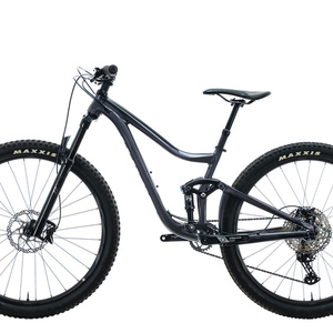 2021 Giant Trance Silver, gray or bare metal