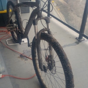 Specialized Rockhopper Silver, gray or bare metal