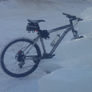 Specialized Rockhopper Silver, gray or bare metal