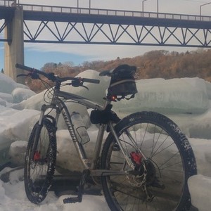 Specialized Rockhopper Silver, gray or bare metal