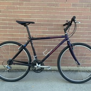 1991 Specialized Stumpjumper Purple