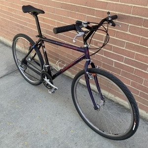 1991 Specialized Stumpjumper Purple