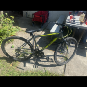 2021 MOVELO Movelo Black and Green