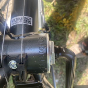 2021 MOVELO Movelo Black and Green