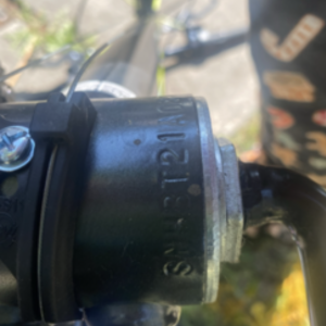 2021 MOVELO Movelo Black and Green