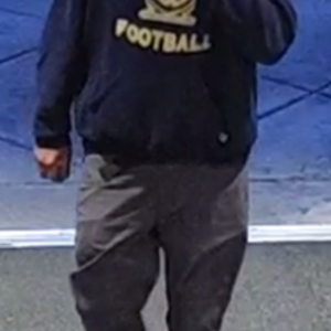 2022 Pivot FIREBIRD 29 LARGE ORANGE RACE XT WITH... Orange