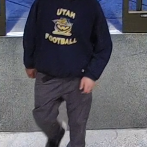 2022 Pivot FIREBIRD 29 LARGE ORANGE RACE XT WITH... Orange