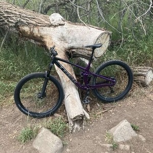 2020 Trek FUEL EX5 Purple and Black