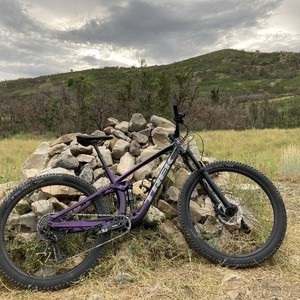 2020 Trek FUEL EX5 Purple and Black